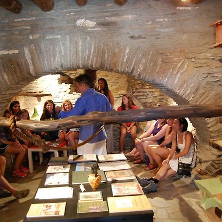 Cyclades Olive Museum'S Guest House Pitrofos 外观 照片