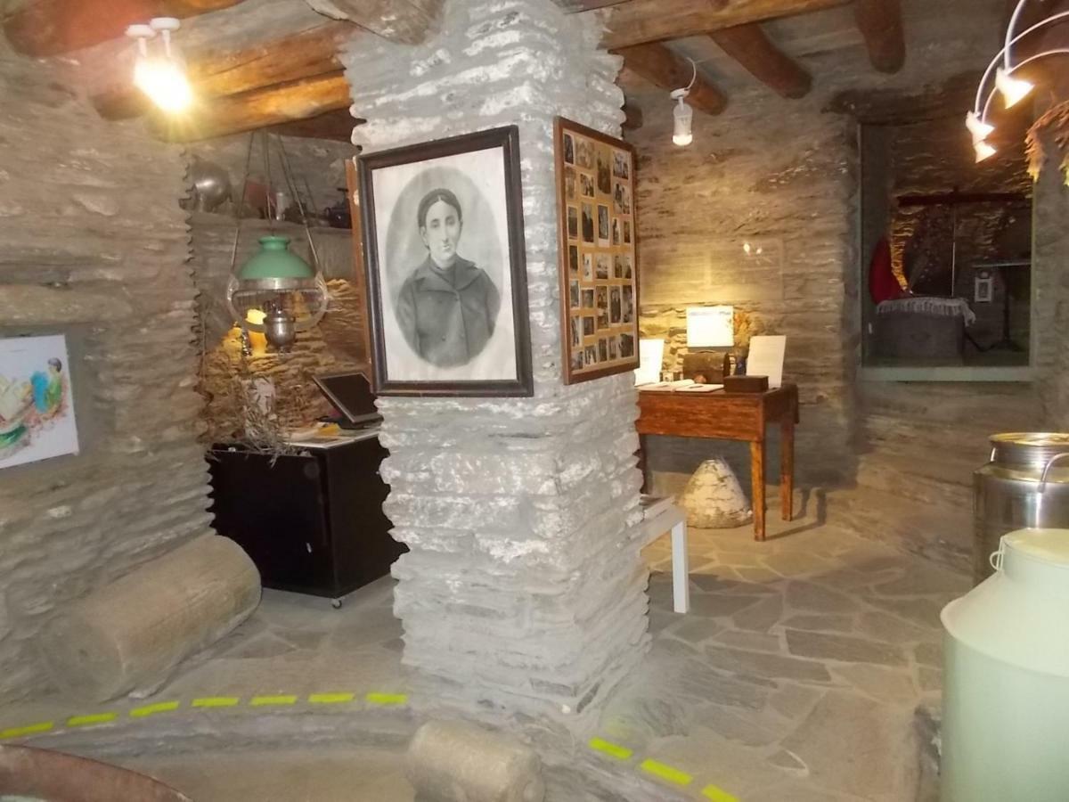 Cyclades Olive Museum'S Guest House Pitrofos 外观 照片
